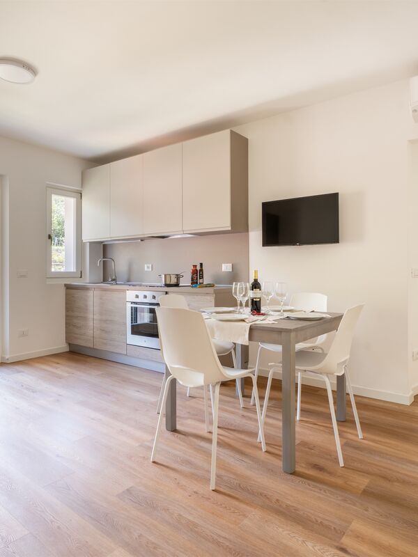 Appartamento vista olivi